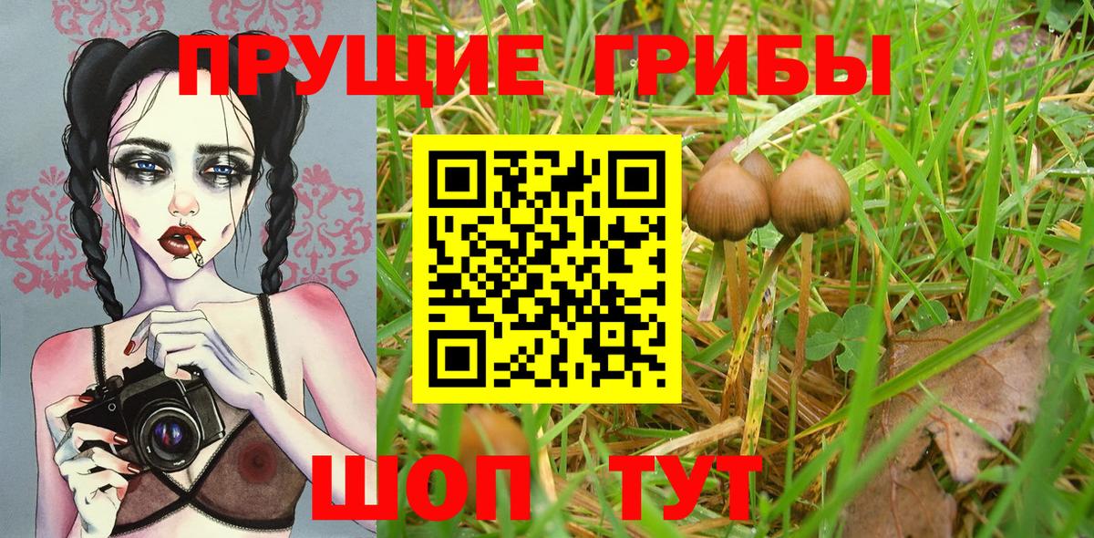 цены наркотик  Вход с VPN  Острогожск  Галлюциногенные грибы Psilocybine cubensis 